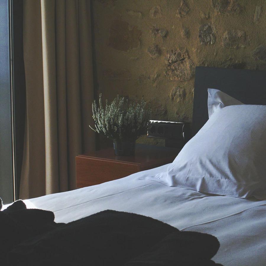 Hotel Mas Oliveres Pla De Palau Llers Eksteriør billede